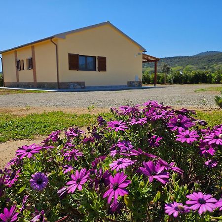 Agriturismo Fusini Magliano in Toscana Luaran gambar