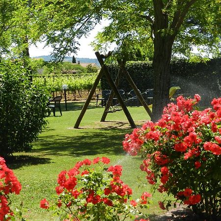 Agriturismo Fusini Magliano in Toscana Luaran gambar
