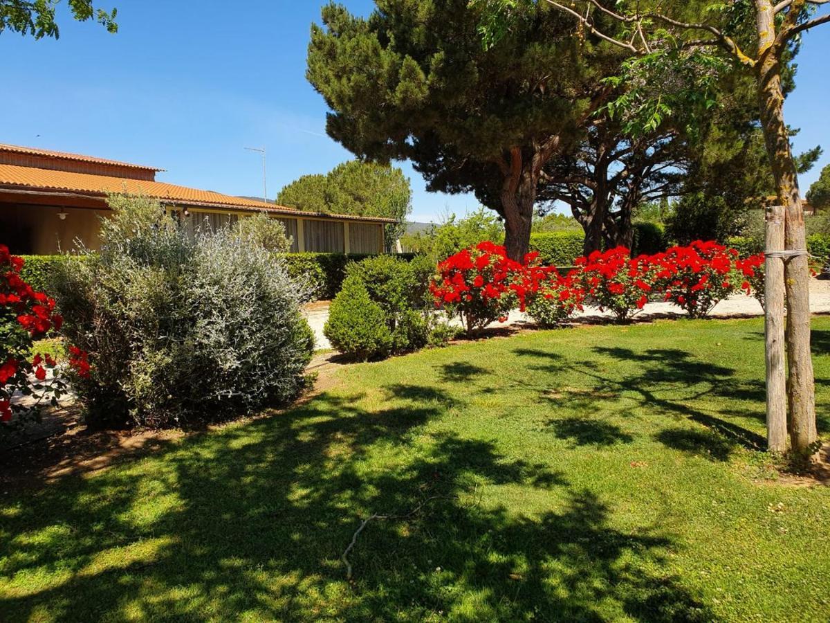 Agriturismo Fusini Magliano in Toscana Luaran gambar