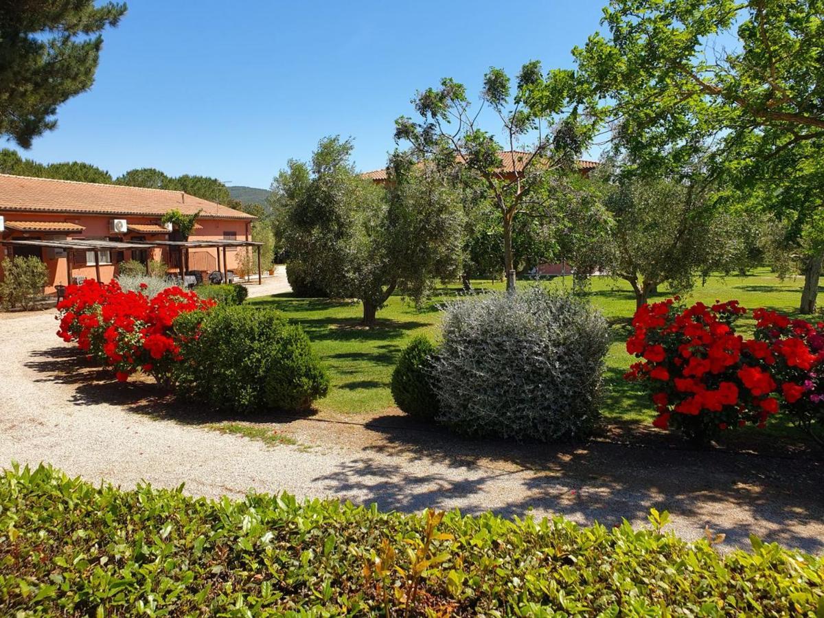 Agriturismo Fusini Magliano in Toscana Luaran gambar