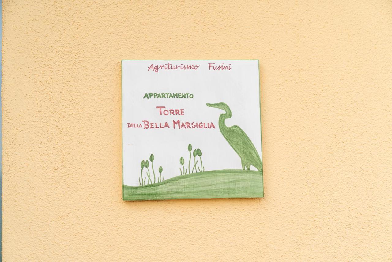 Agriturismo Fusini Magliano in Toscana Luaran gambar