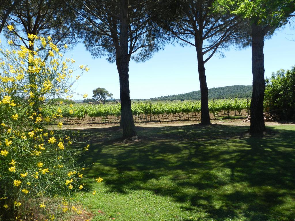 Agriturismo Fusini Magliano in Toscana Luaran gambar