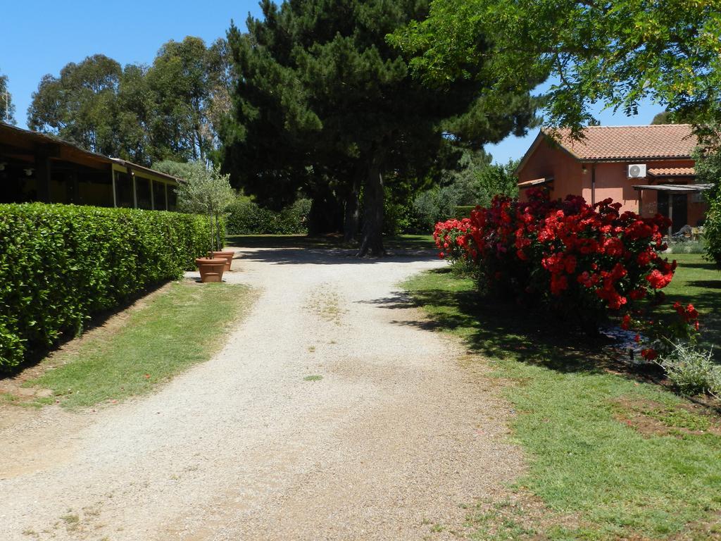 Agriturismo Fusini Magliano in Toscana Luaran gambar