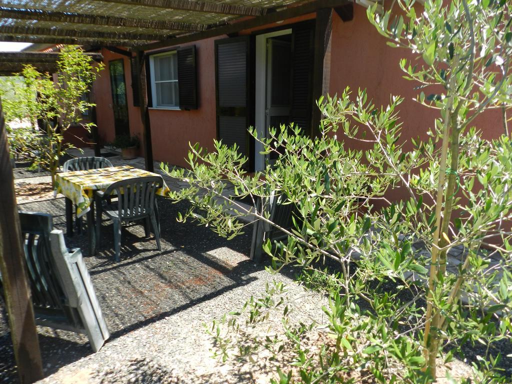 Agriturismo Fusini Magliano in Toscana Luaran gambar