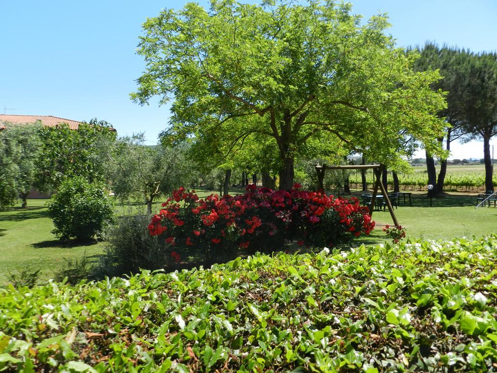 Agriturismo Fusini Magliano in Toscana Luaran gambar