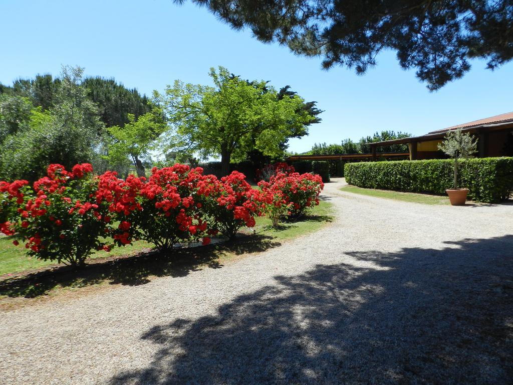 Agriturismo Fusini Magliano in Toscana Luaran gambar