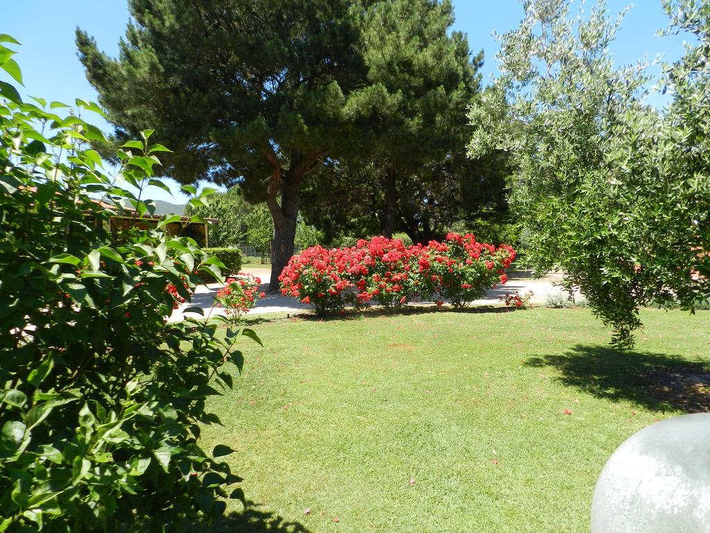 Agriturismo Fusini Magliano in Toscana Luaran gambar