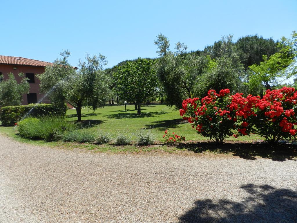 Agriturismo Fusini Magliano in Toscana Luaran gambar