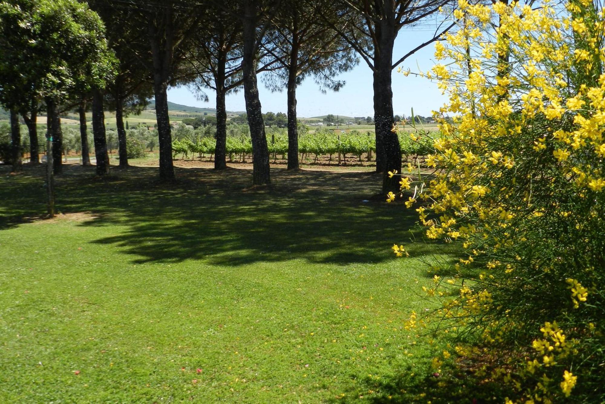 Agriturismo Fusini Magliano in Toscana Luaran gambar