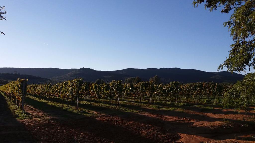 Agriturismo Fusini Magliano in Toscana Luaran gambar