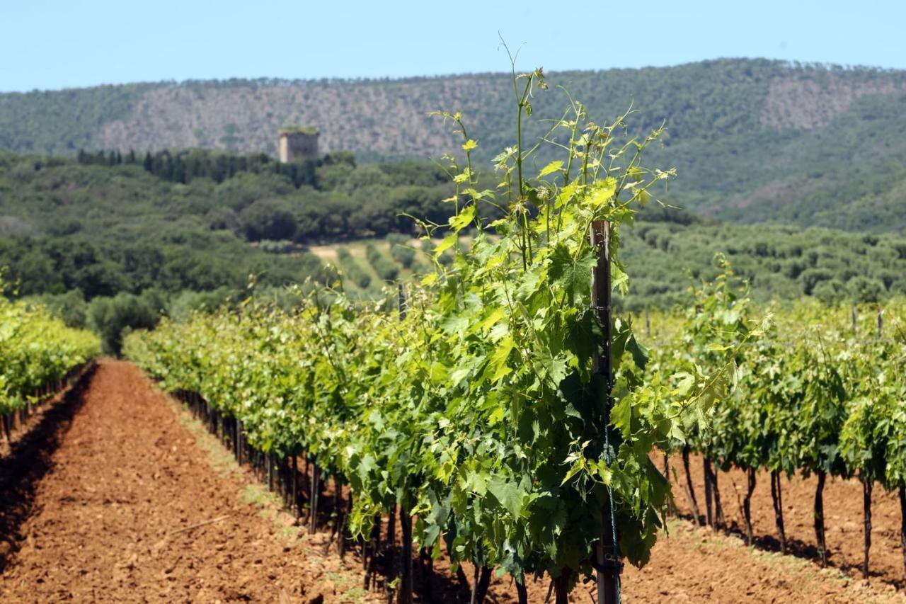 Agriturismo Fusini Magliano in Toscana Luaran gambar