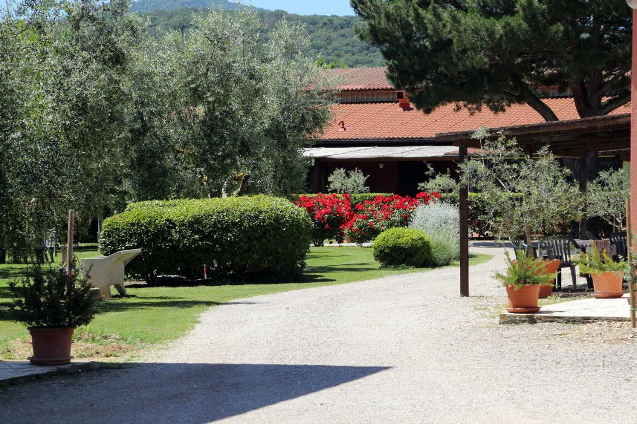 Agriturismo Fusini Magliano in Toscana Luaran gambar