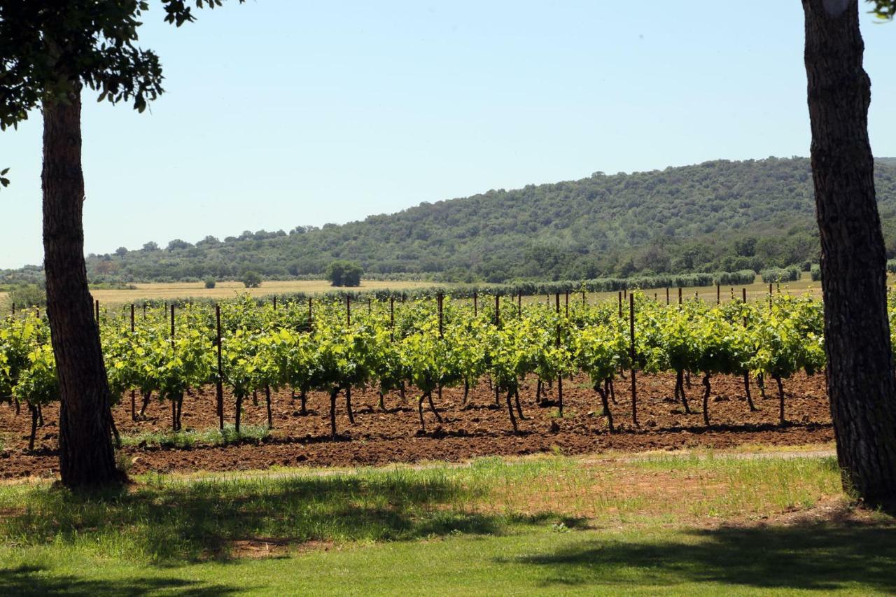 Agriturismo Fusini Magliano in Toscana Luaran gambar