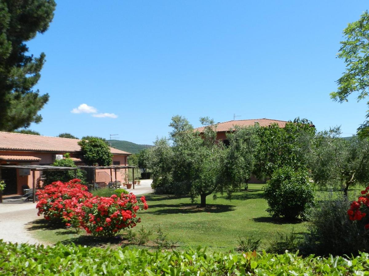 Agriturismo Fusini Magliano in Toscana Luaran gambar