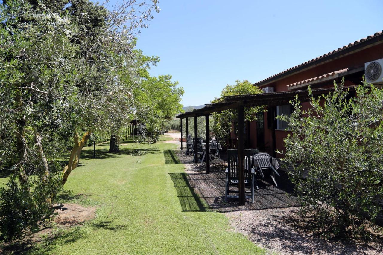 Agriturismo Fusini Magliano in Toscana Luaran gambar